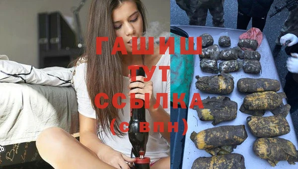 индика Бугульма